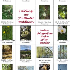 Plakat Ausstellung Waldhorn Plakat Ausstellung Waldhorn