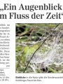 Pforzheimer Zeitung 