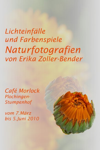 Plakat Café Morlock