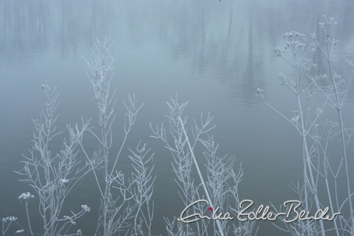 Galeriebild
