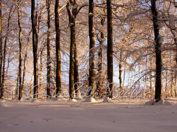 Winter 2025 - Zur Ruhe Kommen