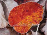 Winter 2025 - Zur Ruhe Kommen