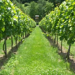 Ausstellungsbild Schwertmühle Esslingen