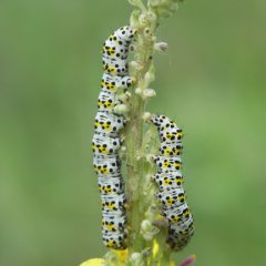 Ausstellungsbild Schwertmühle Esslingen